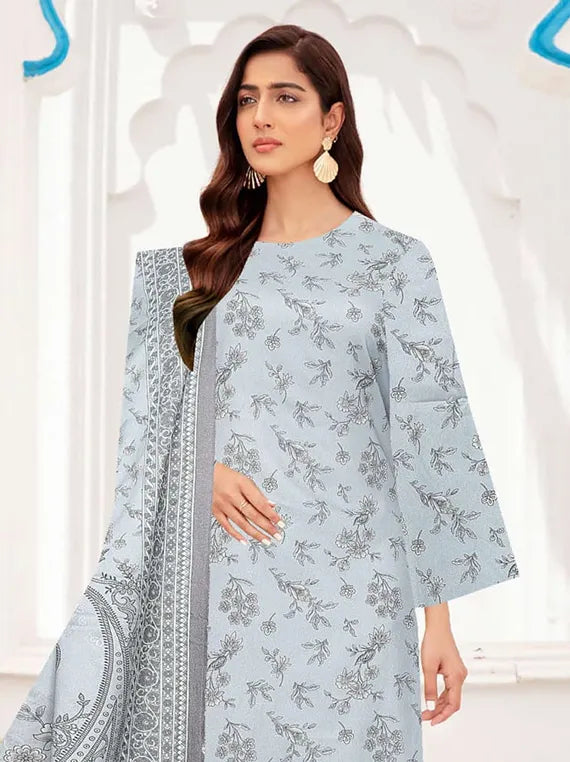 Digital Printed Dhanak Collection 2024 By Bin Rashid Vol-22 (D-04)