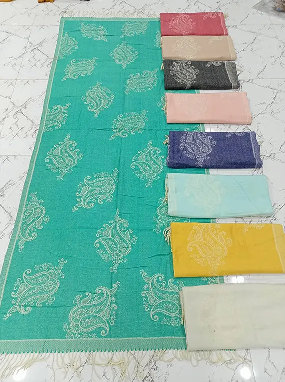 Elegant Winter women shawl Collection 2024 (25SH29-1)