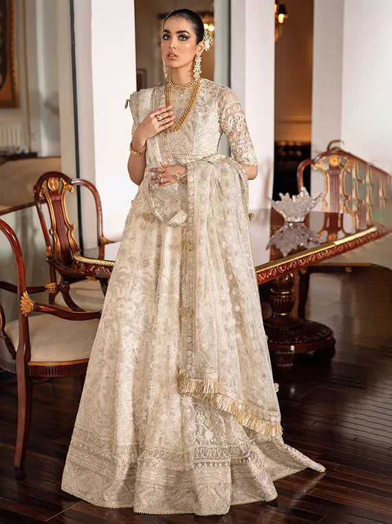 Embroidered Net Collection 2025 By Baroque (BQU-CH09-D05)