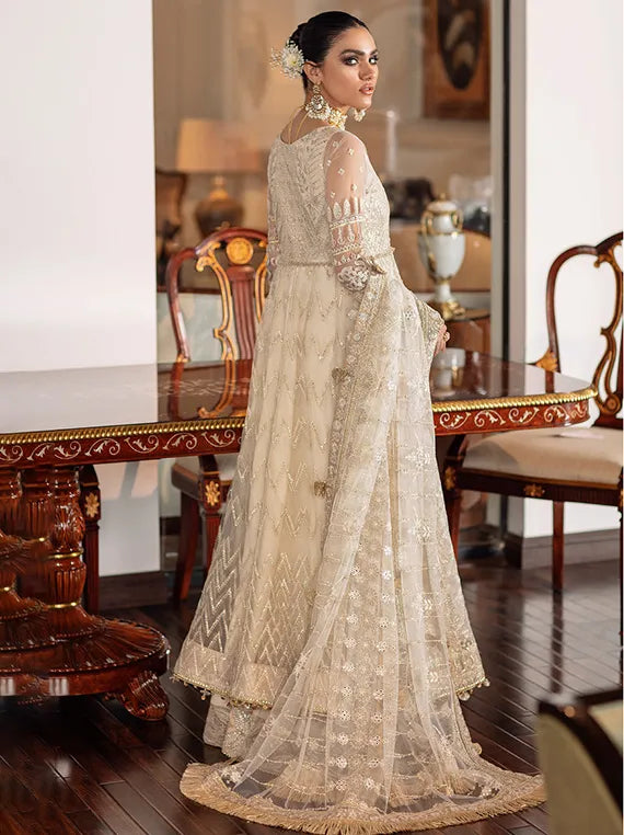 Embroidered Net Collection 2025 By Baroque (BQU-CH09-D05)