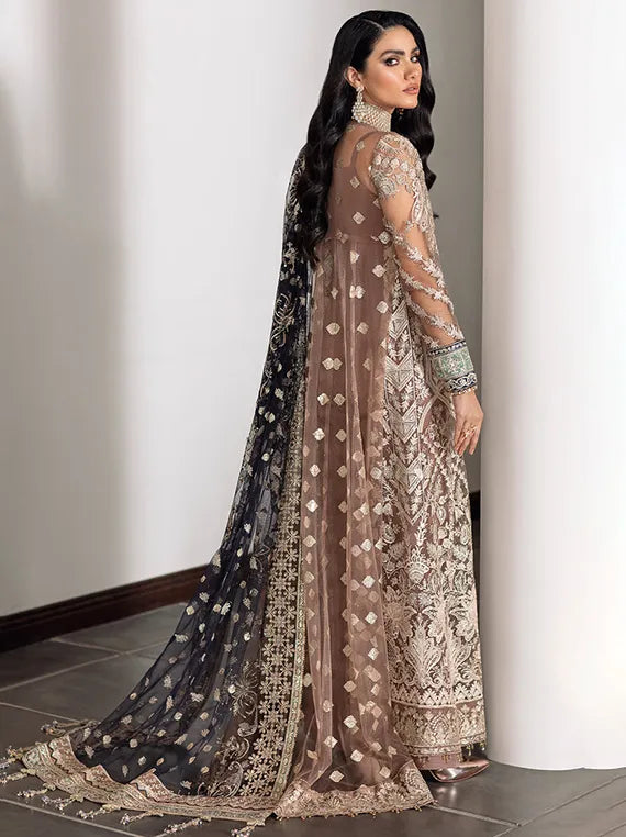 Embroidered Net Collection 2025 By Baroque (BQU-CH09-D07)