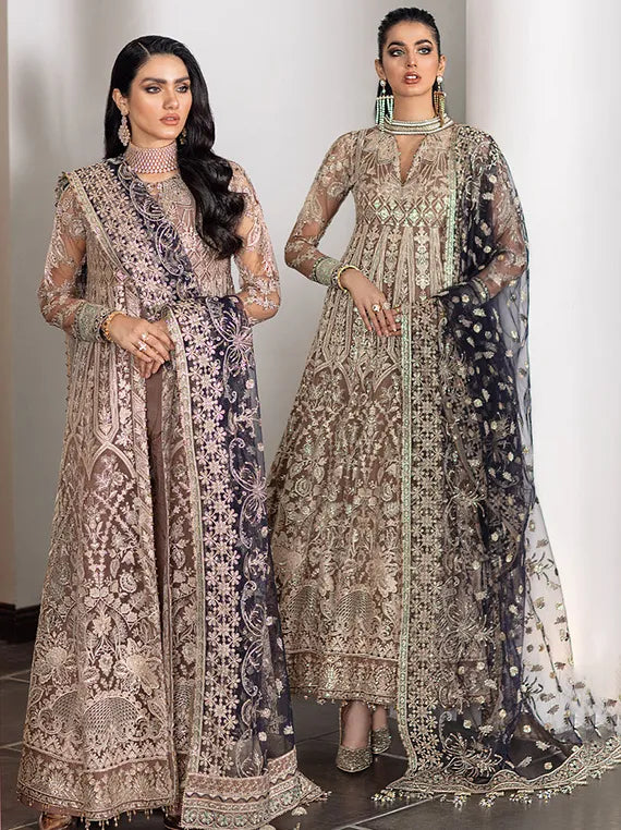 Embroidered Net Collection 2025 By Baroque (BQU-CH09-D07)