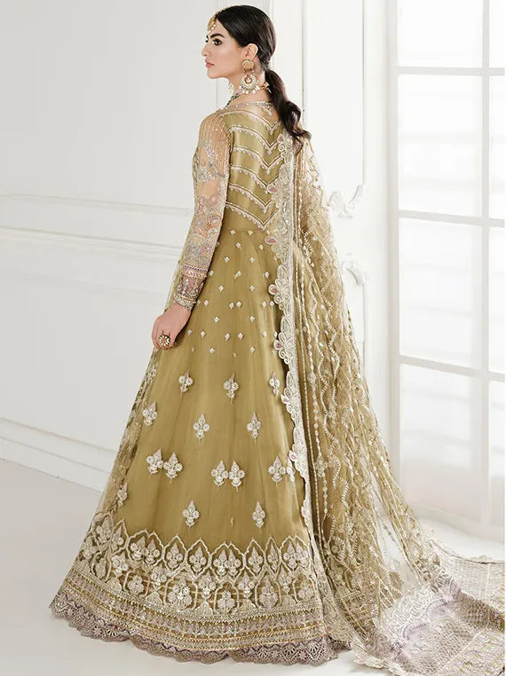 Embroidered Net Collection 2025 By Baroque (BQU-CH10-D01)