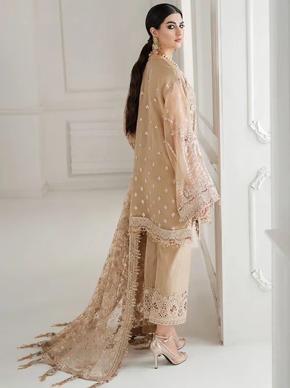 Embroidered Net Collection 2025 By Baroque (BQU-CH10-D04)