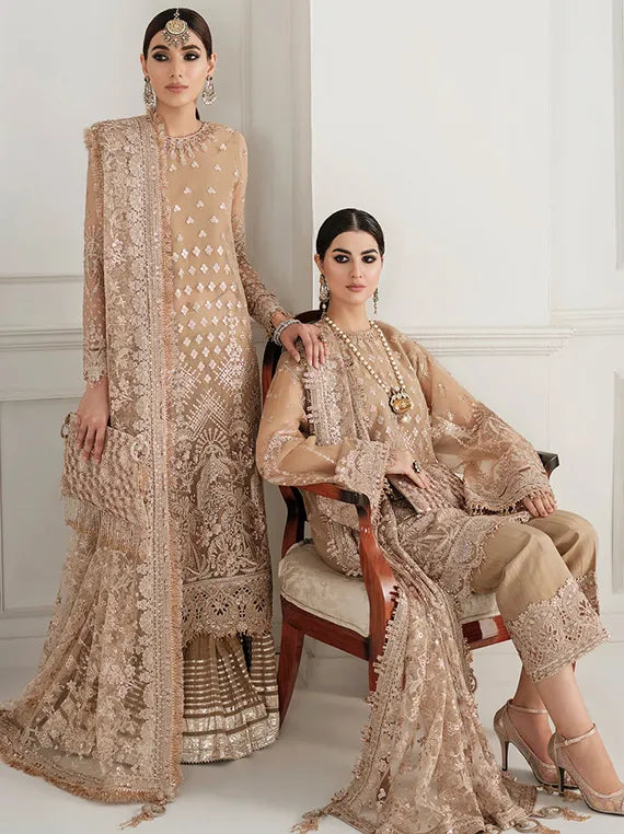Embroidered Net Collection 2025 By Baroque (BQU-CH10-D04)