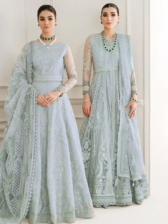 Embroidered Net Collection 2025 By Baroque (BQU-CH10-D05)