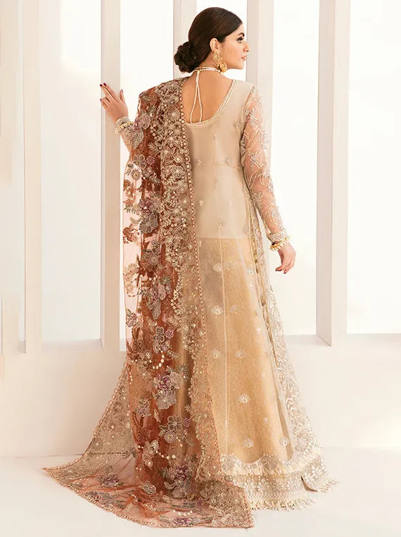 Embroidered Net Collection 2025 By Baroque (BQU-CH11-D03)