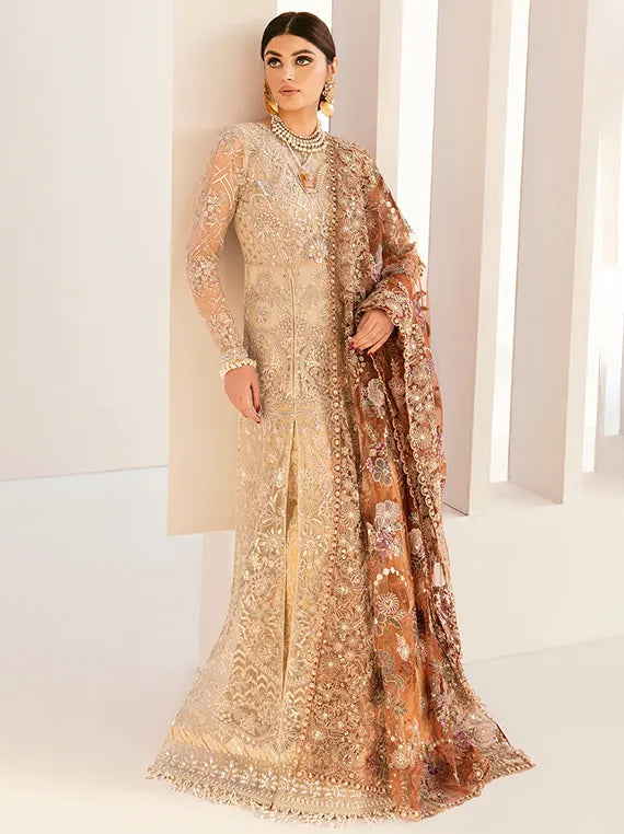 Embroidered Net Collection 2025 By Baroque (BQU-CH11-D03)