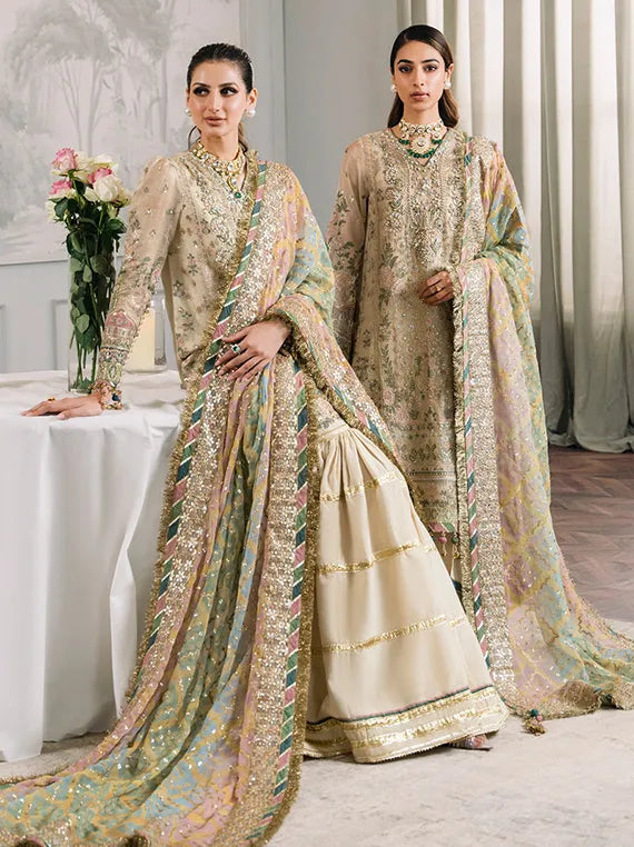 Embroidered Net Collection 2025 By Baroque (BQU-CH12-D04)