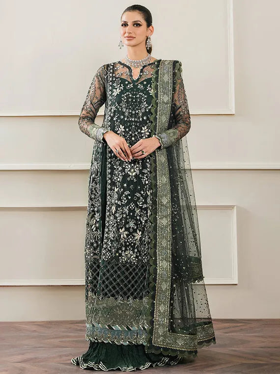 Embroidered Net Collection 2025 By Baroque (BQU-CH12-D05)