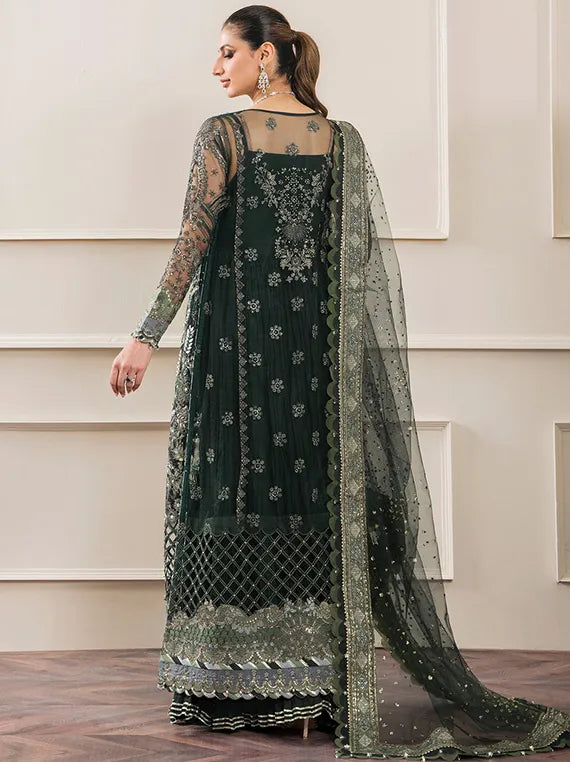 Embroidered Net Collection 2025 By Baroque (BQU-CH12-D05)