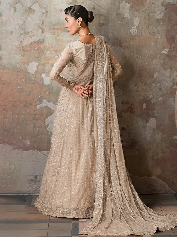 Emirah Luxury Embroidered Net Collection 2025 by Zarif (02-BREEZE)