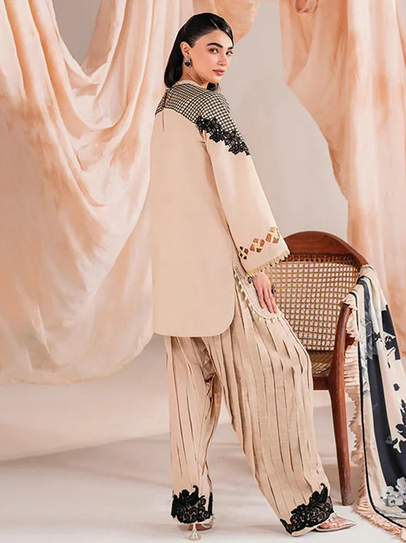 Exclusive Collection 2026 by Umar Poshak (MW-13)