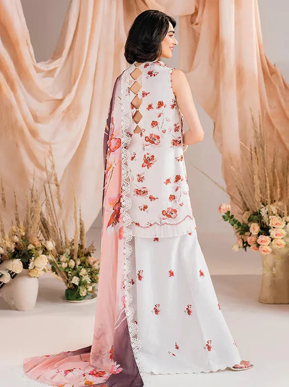 Exclusive Collection 2026 by Umar Poshak (MW-15)