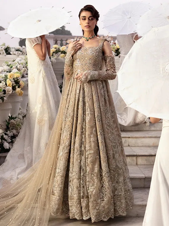 Exclusive Festive Chiffon Collection 2025 (NL-65 CLARA)
