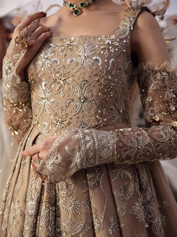 Exclusive Festive Chiffon Collection 2025 (NL-65 CLARA)