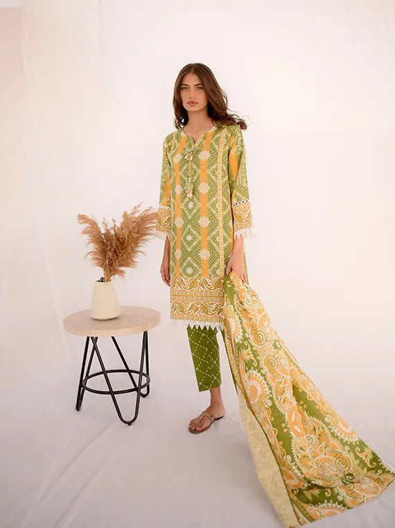 Exclusive sale 20% off on Multi Brands Collection (D-07)