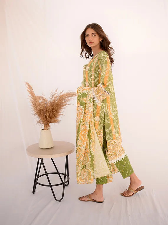 Exclusive sale 20% off on Multi Brands Collection (D-07)