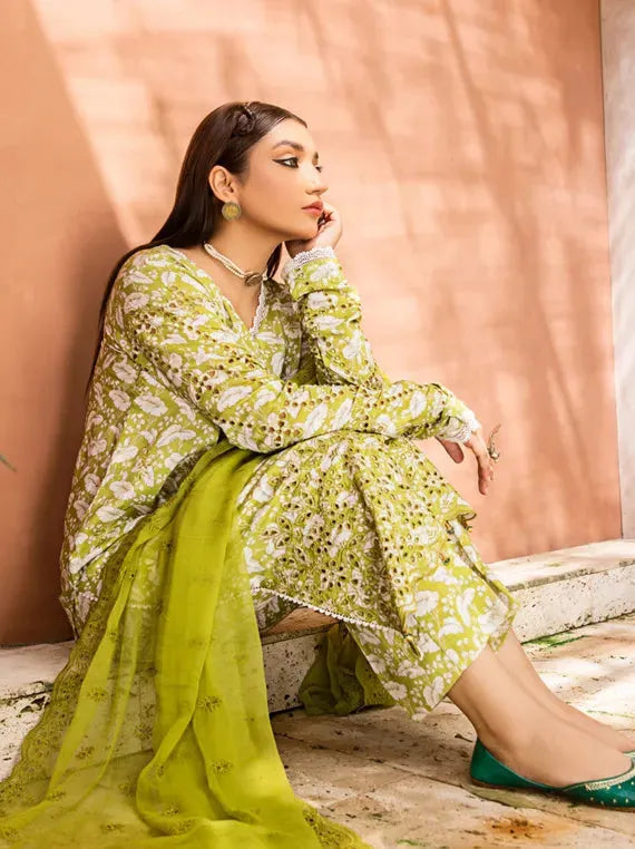 Exclusive sale 20% off on Multi Brands Collection (D-19)
