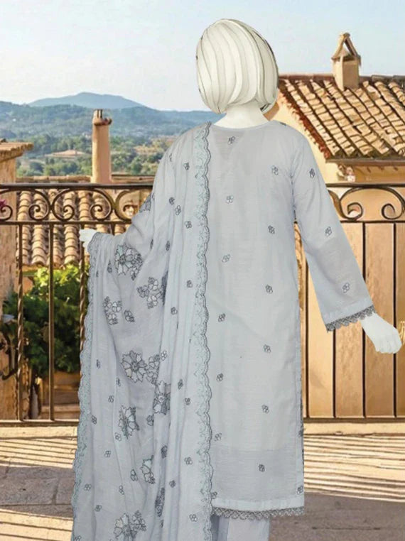 HAYAT Embroidered Slub Lawn Collection 2026 By ABC (D-02)