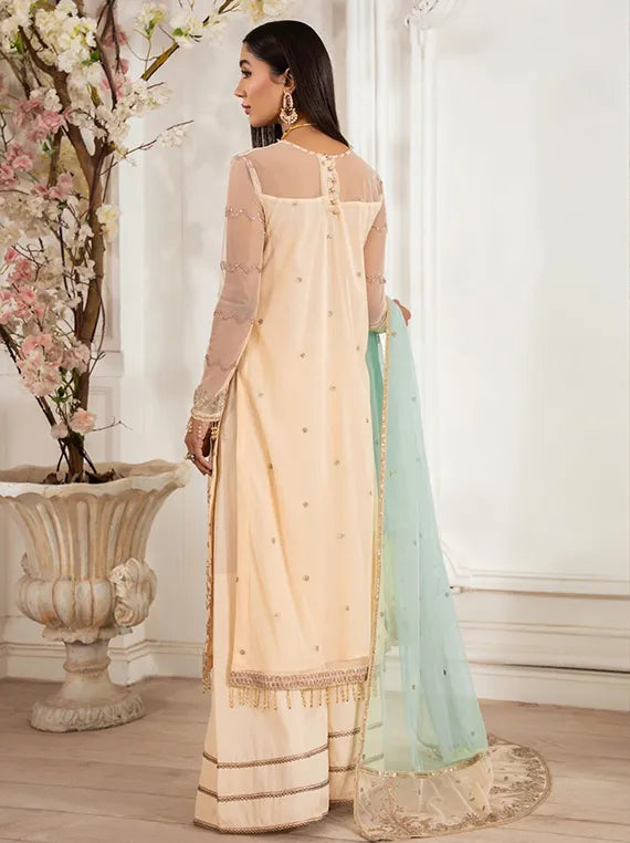 Heer Embroidered Net Collection 2025 by Zarif (ZHF-05)