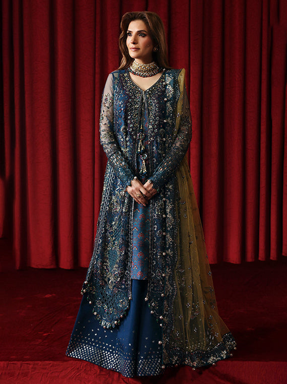 Jhoomro Luxury Formal Chiffon Collection 2025 By Nureh