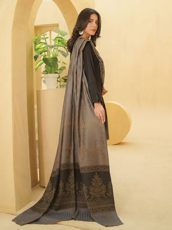 Kishwar Ka Andaz Dhanak Collection 2025 By Manizay (M-04)