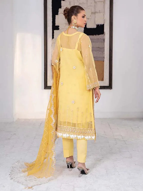 Lazaib Festive Formals Collection 2024 By Ahmed Embrideries (Voila)