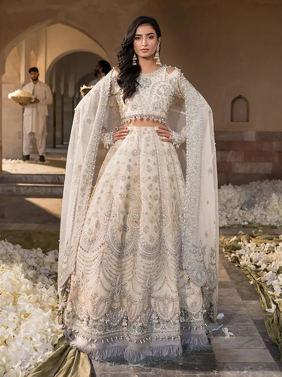 Luxe Festive Embroidered Chiffon Collection 2026 (EFH-05 PARIZAAD)