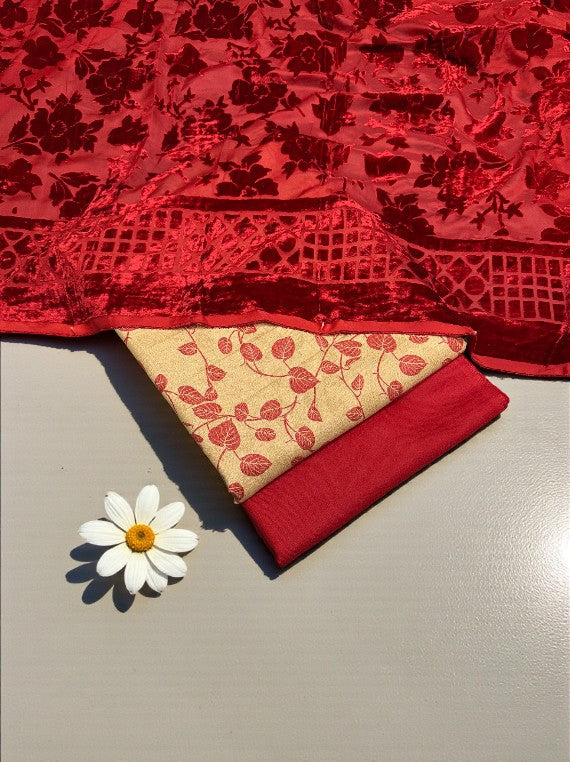 Luxury Printed Marina & Velvet Shawl Edit 2025 (25DS31-01)