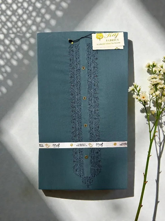 Mens Embroidered Wash & Wear Edit 2026 Vol-BX18 (D-02)