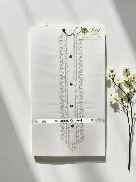 Mens Embroidered Wash & Wear Edit 2026 Vol-BX18 (D-05)