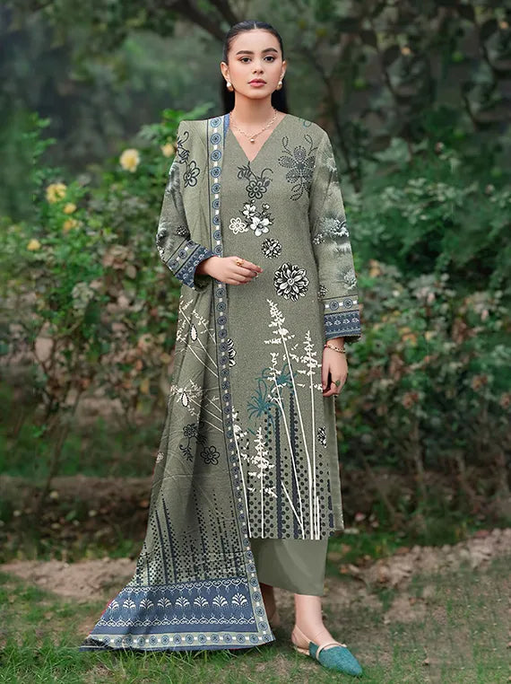 Modern Printed Karandi Collection 2025 Vol-191 (D-07)