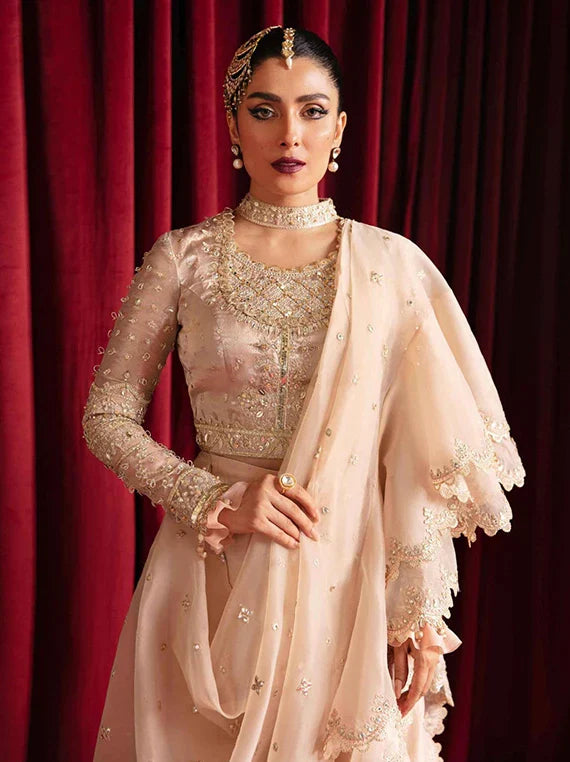 Multi Embroidered Fancy Chiffon Collection 2026 (Reena)