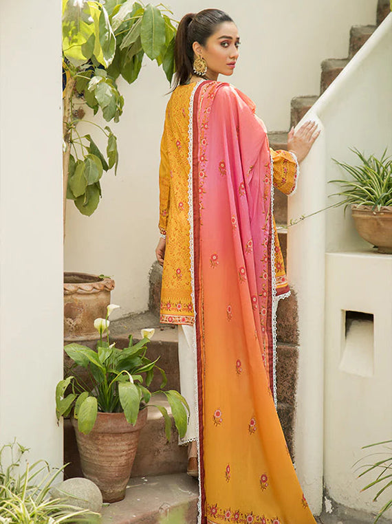 Multi Brand Collection 2023 (KN-SM-5213051)