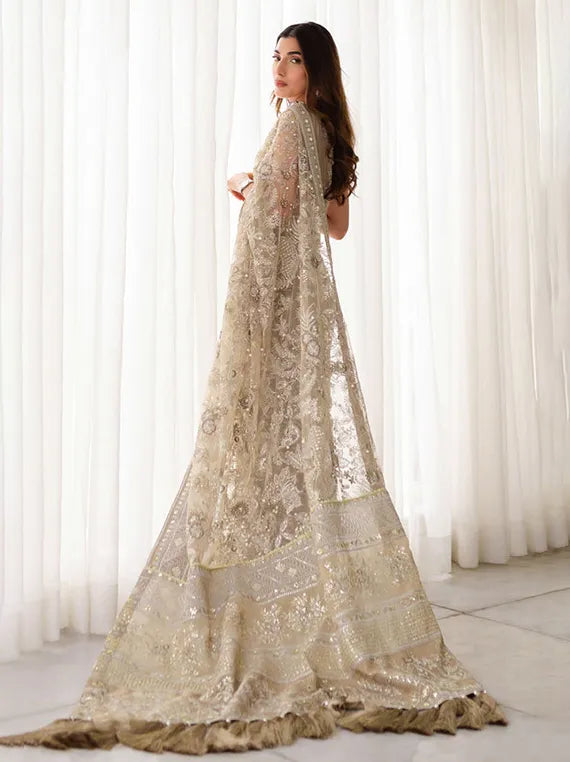Multi Brand Embroidered Chiffon Collection 2025 (NL-65 CLARA)