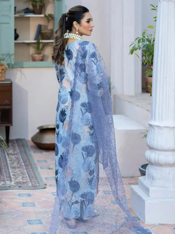 Multi Brand Lawn Collection 2025 (NK-PK-19)
