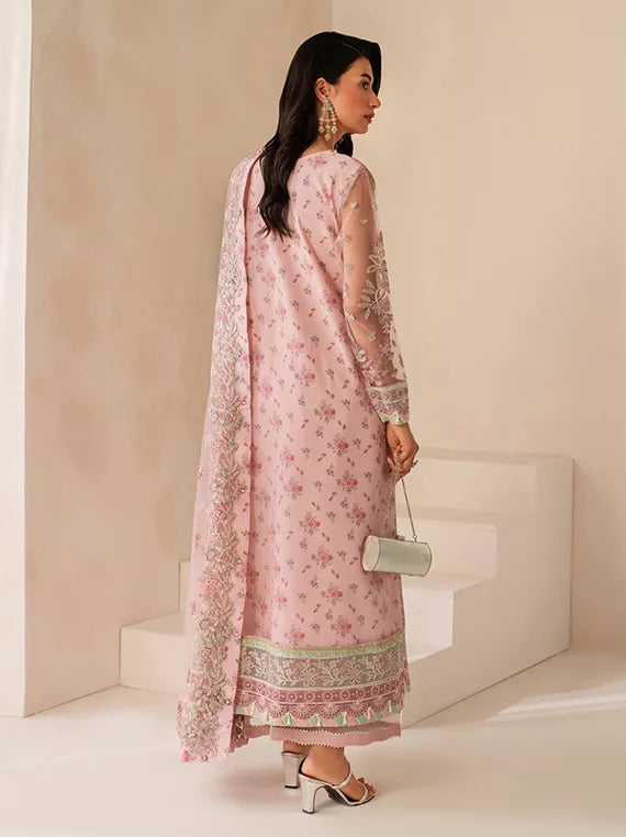 Neorah Luxury Festive Collection 2025 by Xenia (ASHAL)