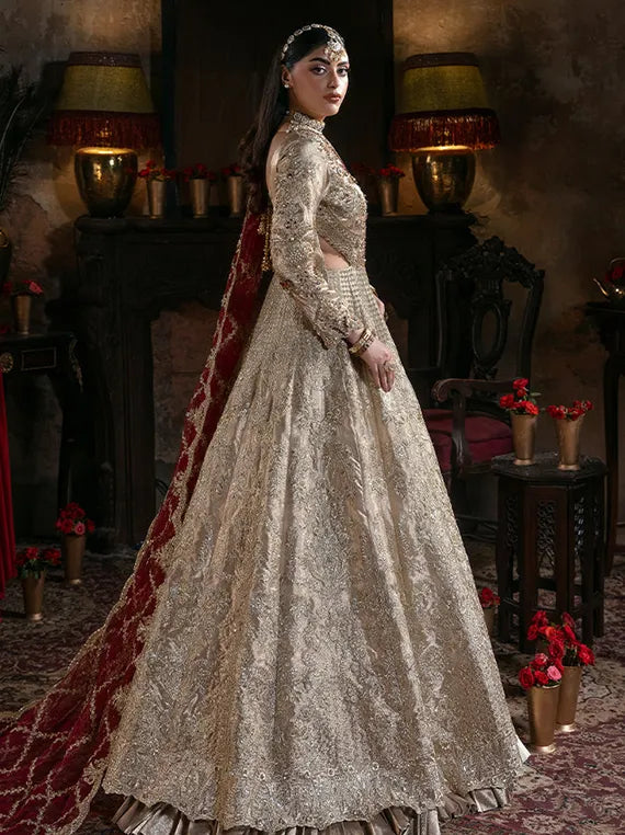 Noor-E-Naaz Embroidered Net Collection 2025 by Imrozia Serene (IB-53 Shahkar)