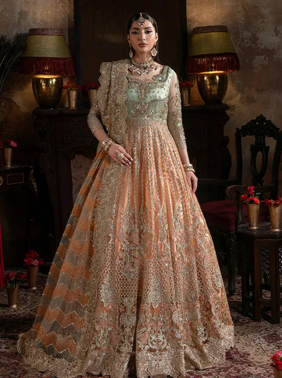 Noor-E-Naaz Embroidered Net Collection 2025 by Imrozia Serene