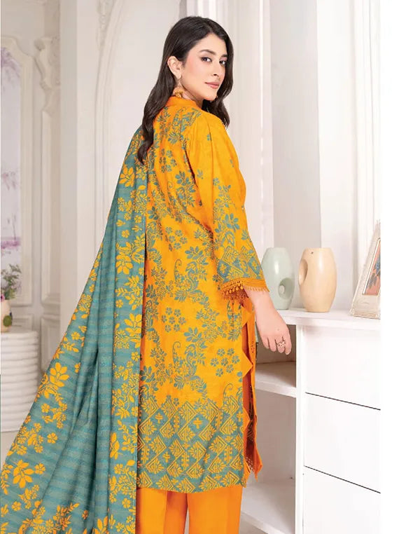 Noor E Jahan Dhanak Collection 2024 By Rang Riaz (D-07)