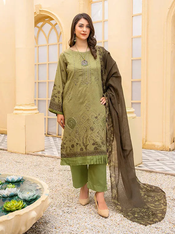 Noor Jahan Embroidered Viscose Collection 2024 By Rang Riaz (D-05)