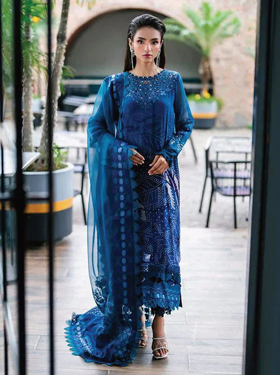 Nureh Ballerina Embellished Chiffon Collection 2024 (NU2-151)