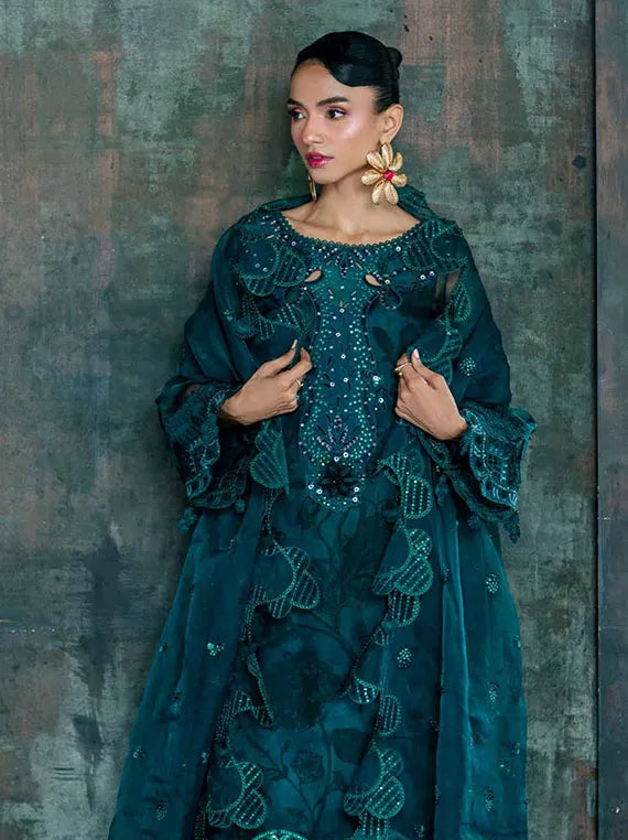 Nureh Ballerina Embellished Chiffon Collection 2024 (NU2-152)