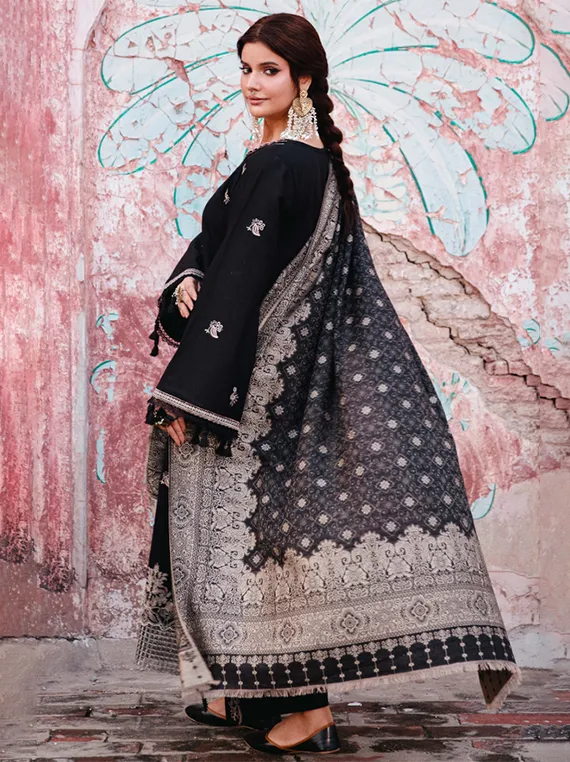Onora by Hum Dum Embroidered Khaddar Collection 2025 Chapter-02 (D01)