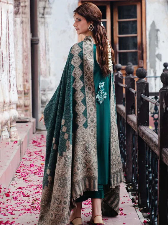 Onora by Hum Dum Embroidered Khaddar Collection 2025 Chapter-02 (D09)