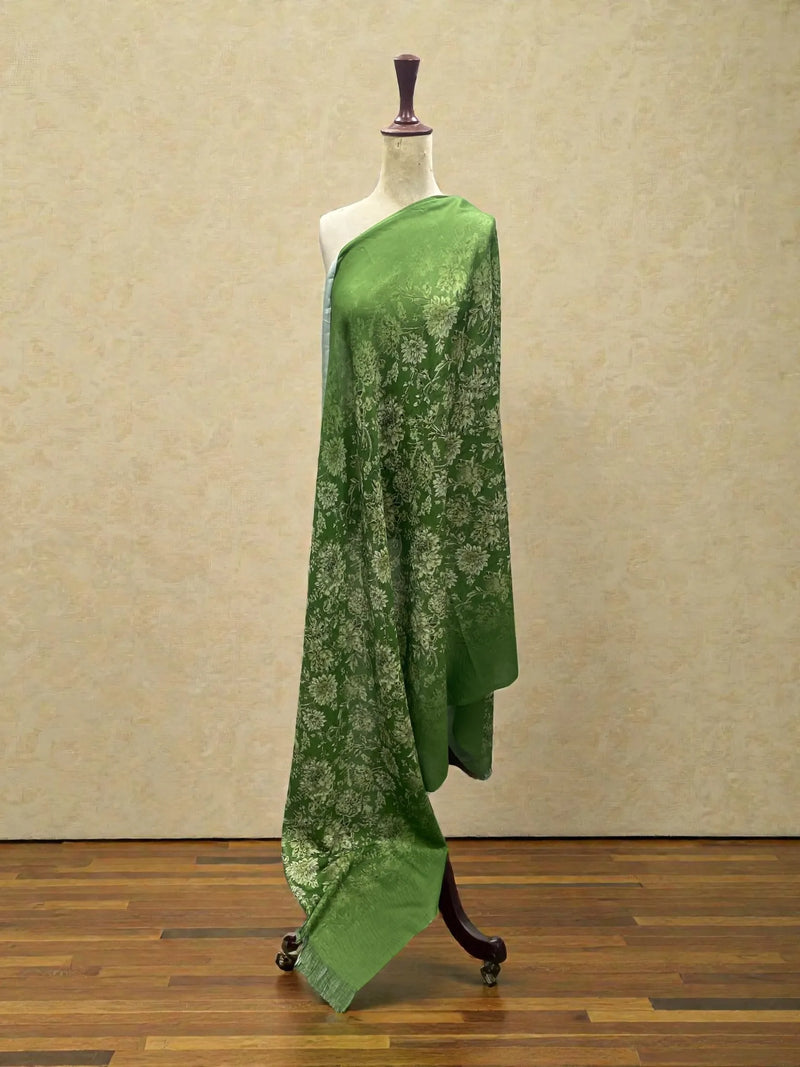 Pashmina Wool Shawl Edit 2025 Vol-ST48