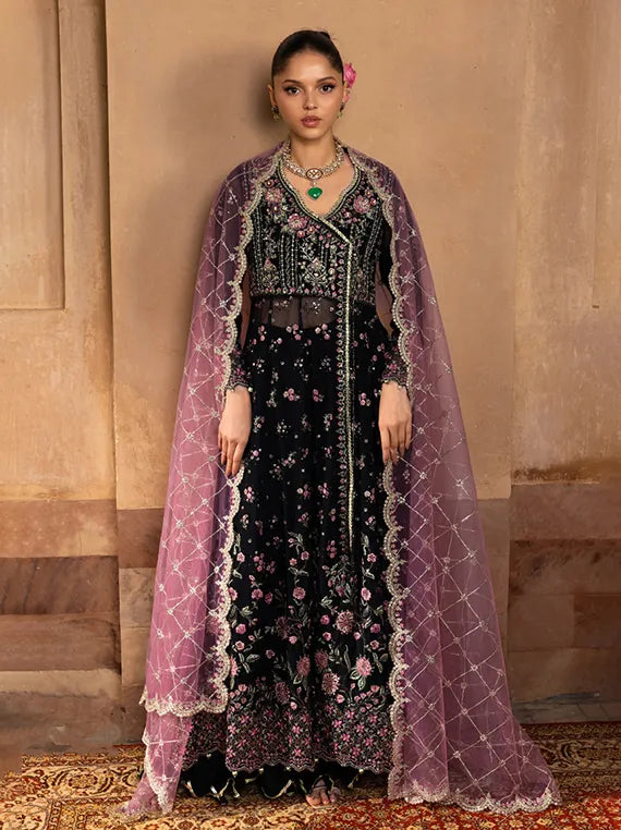 RANG RASIYA Embroidered Chiffon Collection 2025 (01-Sofia)