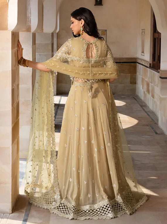 RANG RASIYA Embroidered Chiffon Collection 2025 (05-Zaiena)