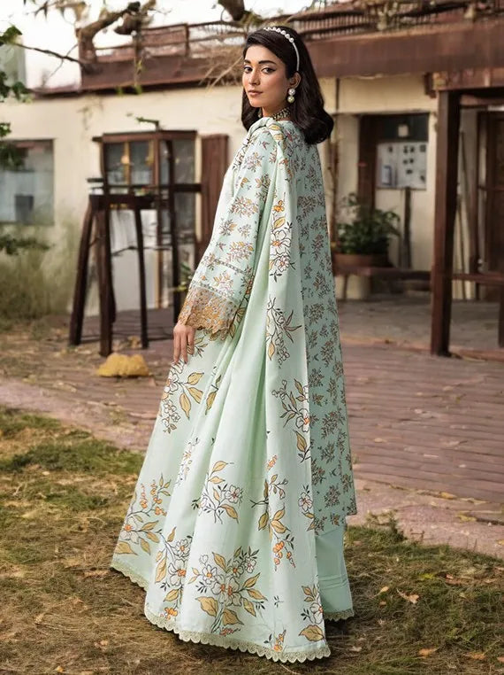 New Season Multi Collection 2026 (Reem by Celts D-09)